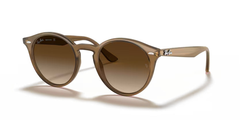 RAY BAN 8 PANTO BROWN